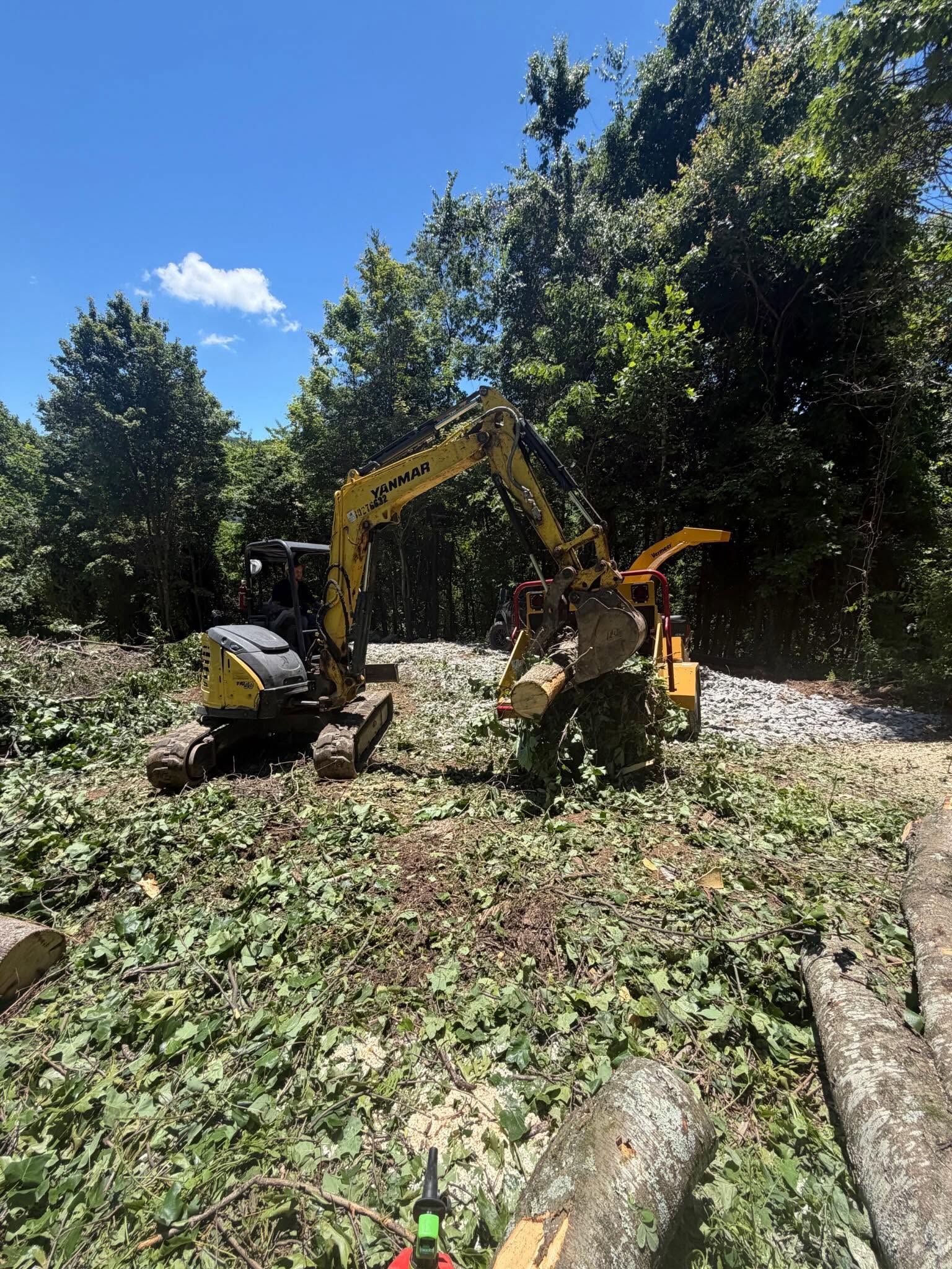 Yellow excavator clearing dense brush and fallen logs in a wooded area under a blue sky
