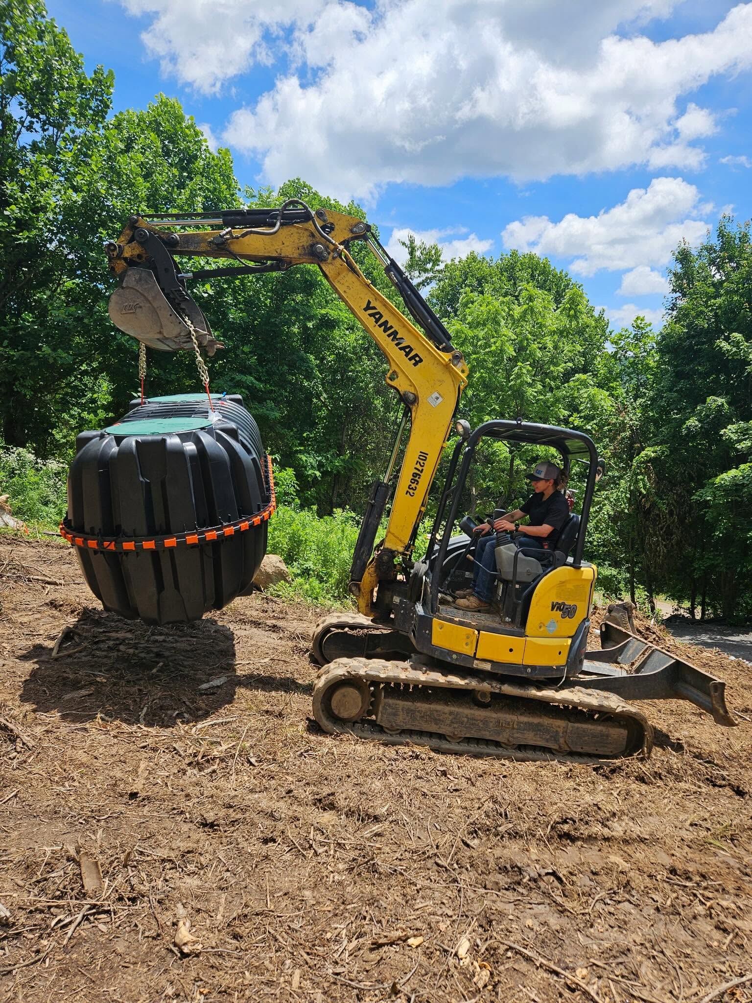 Yellow excavator lifting a wrapped root ball in a wooded area under a blue sky