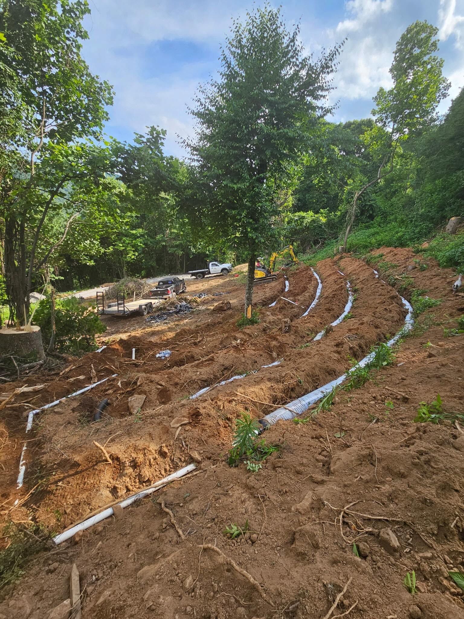 Curved garden rows with white irrigation tubing on a brown hillside under green trees and blue sky