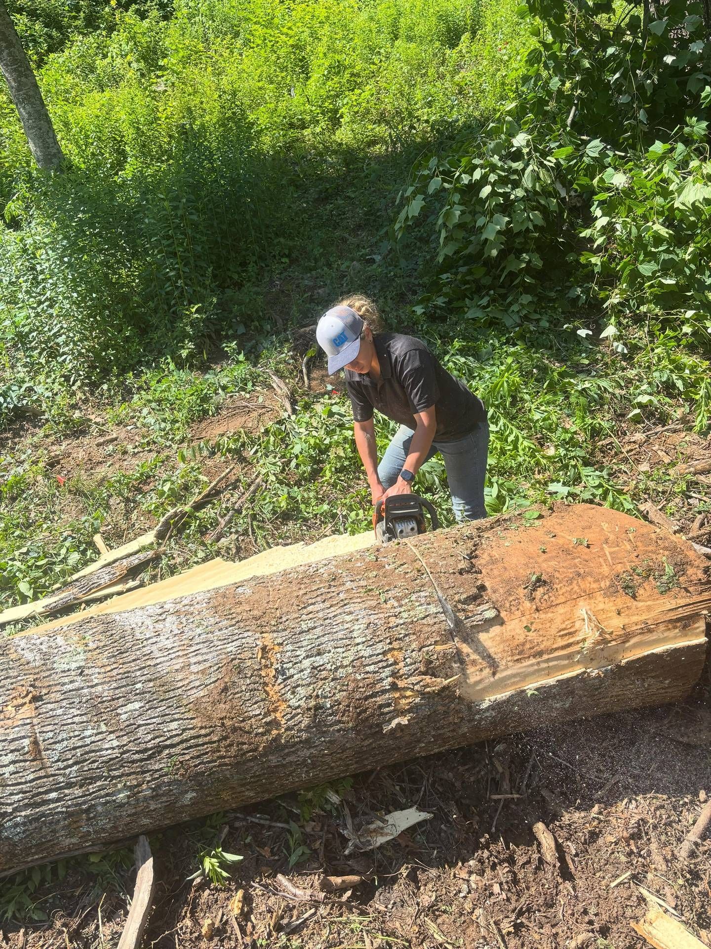 Person sawing a fallen tree trunk in a leafy forest clearing.