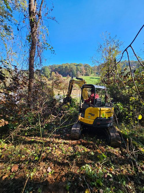 Yellow excavator clearing brush in a wooded area under a bright blue sky.
