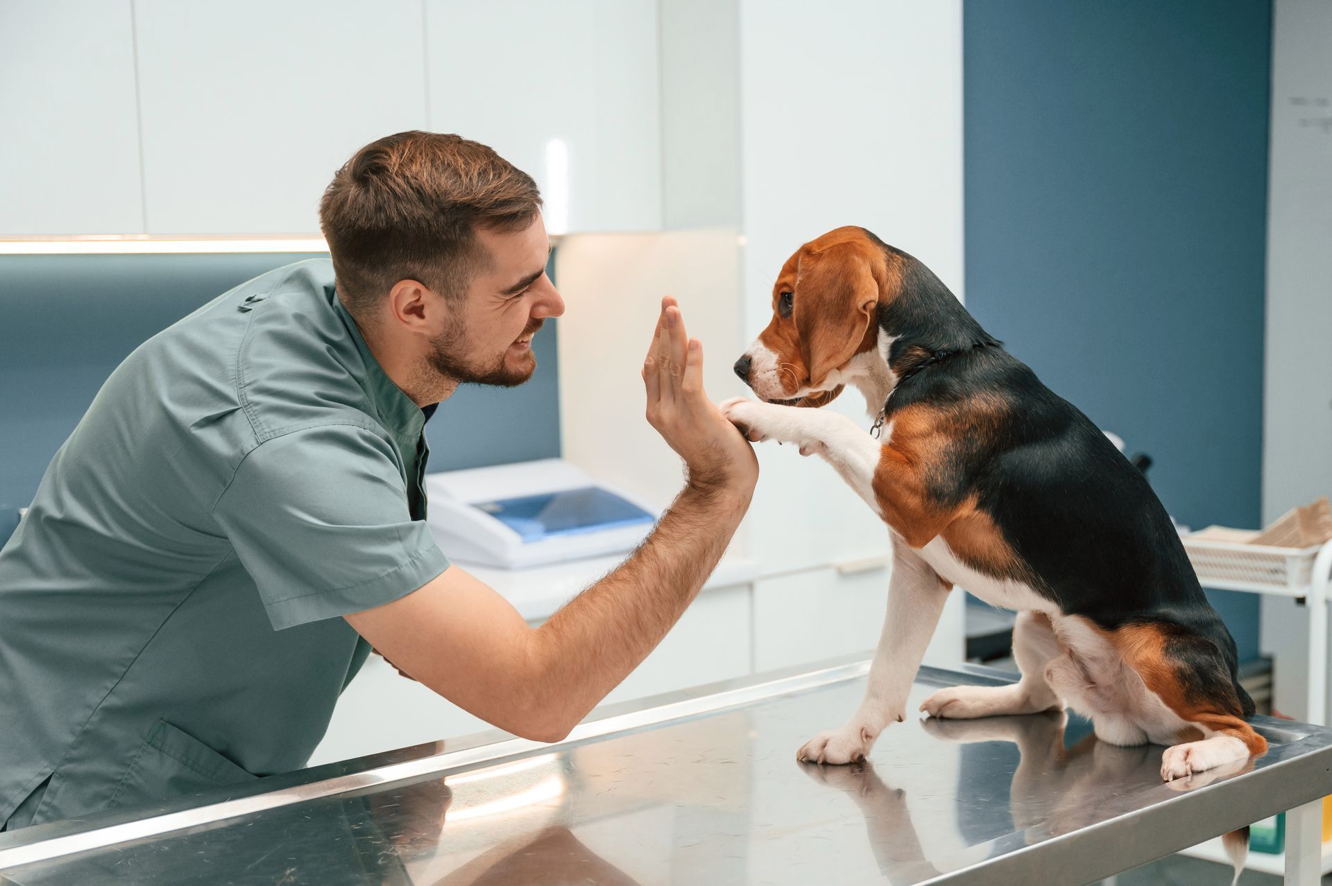 A dog is giving a high five to a vet. A dog is giving a high five to a vet.