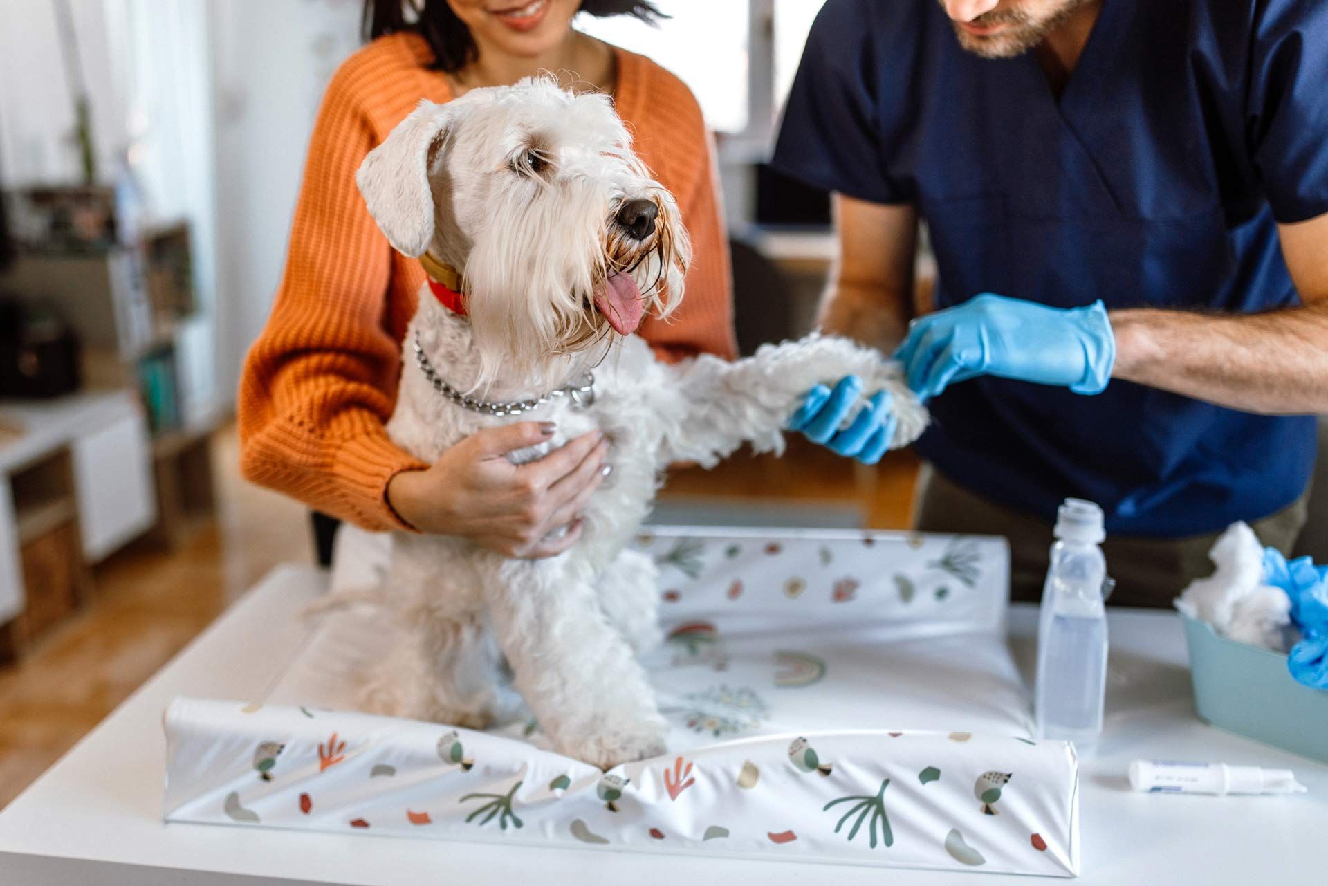 Local Veterinarian Clinic Columbus, OH