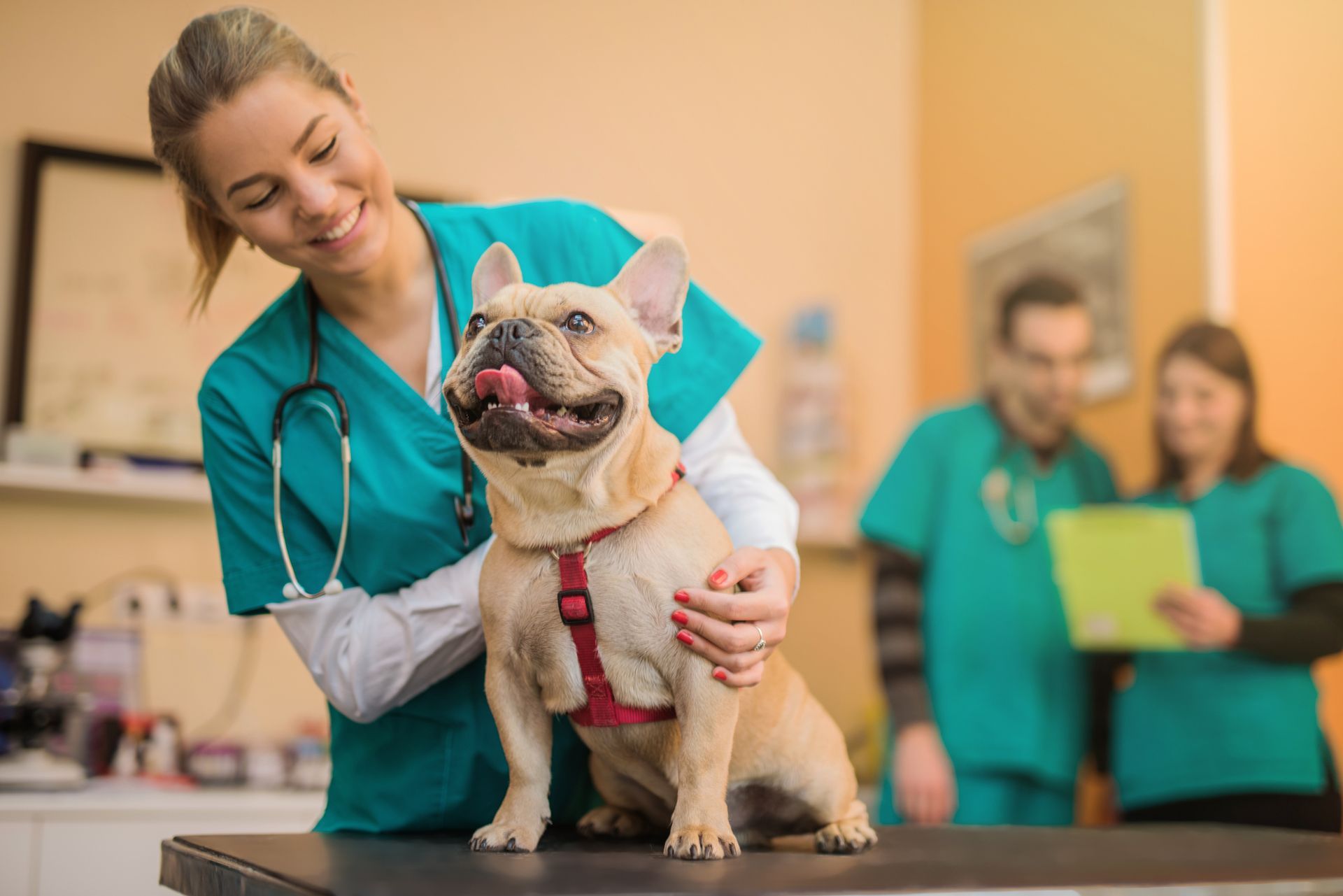 Veterinary Columbus, OH