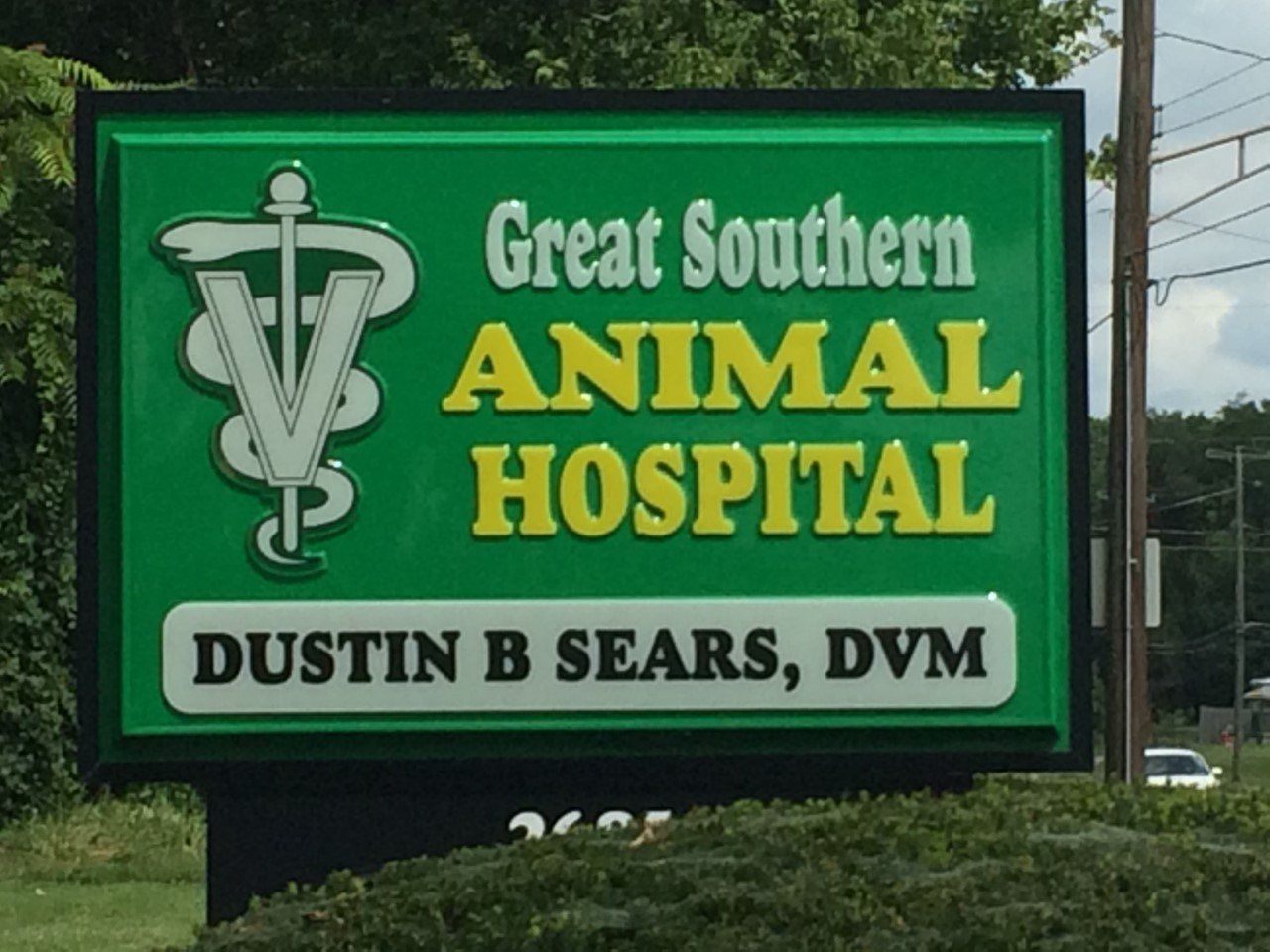 Sign for Great Southern Animal Hospital with green, yellow, and white text.