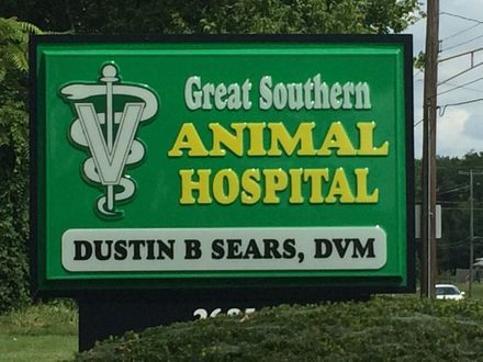 Sign for Great Southern Animal Hospital with green, yellow, and white text.