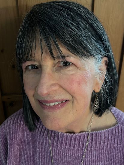 A person with shoulder-length dark hair with gray highlights, wearing a textured purple top and silver drop earrings.