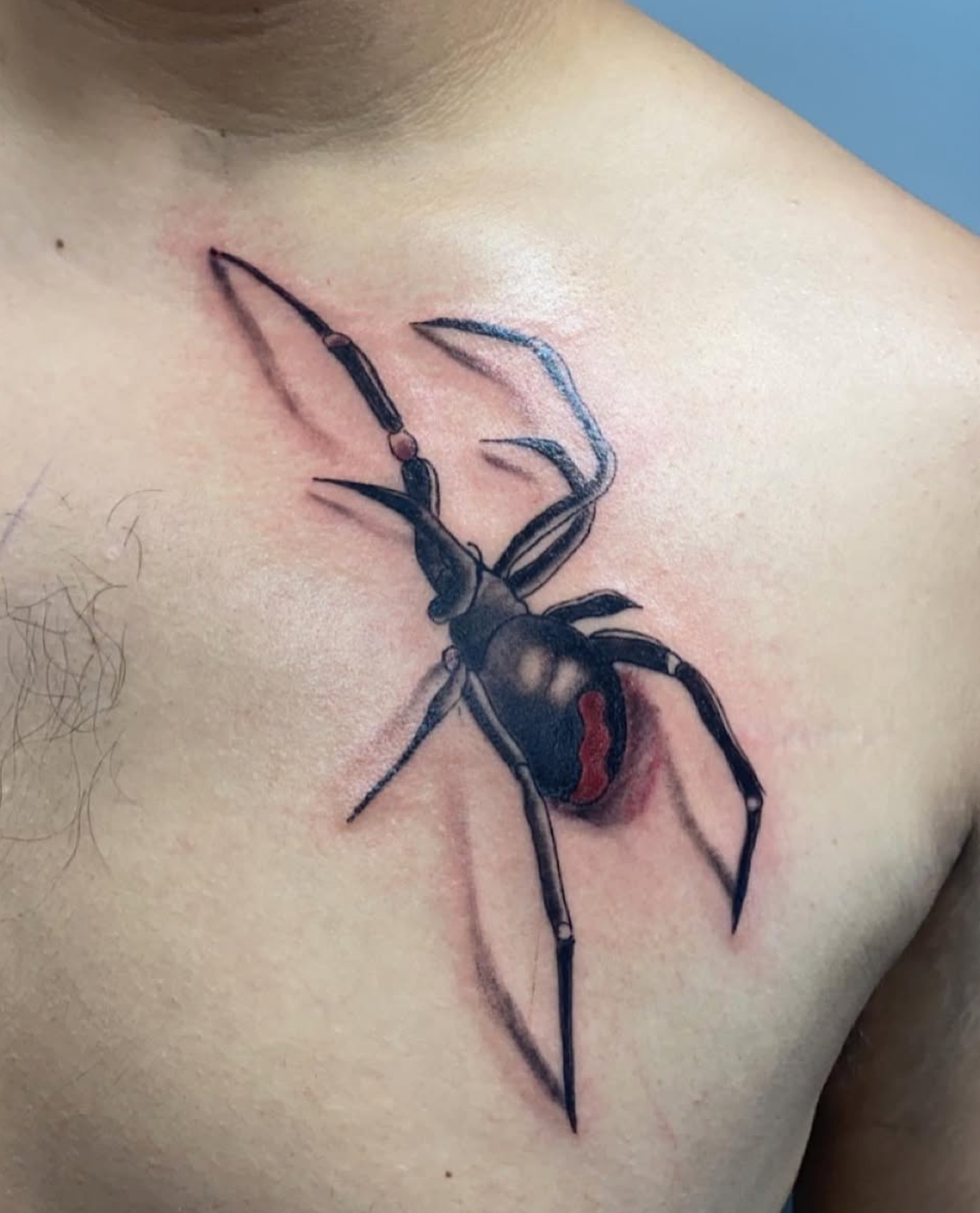 3D Spider Tattoo | black widow tattoo | | tattoos by rachel | body art by rachel | portland, OR | 