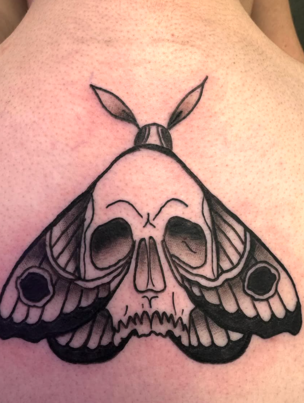 skull and moth tattoo | black and gray tattoo | tattoos by rachel | body art by rachel | portland, OR | Wilsonville, OR