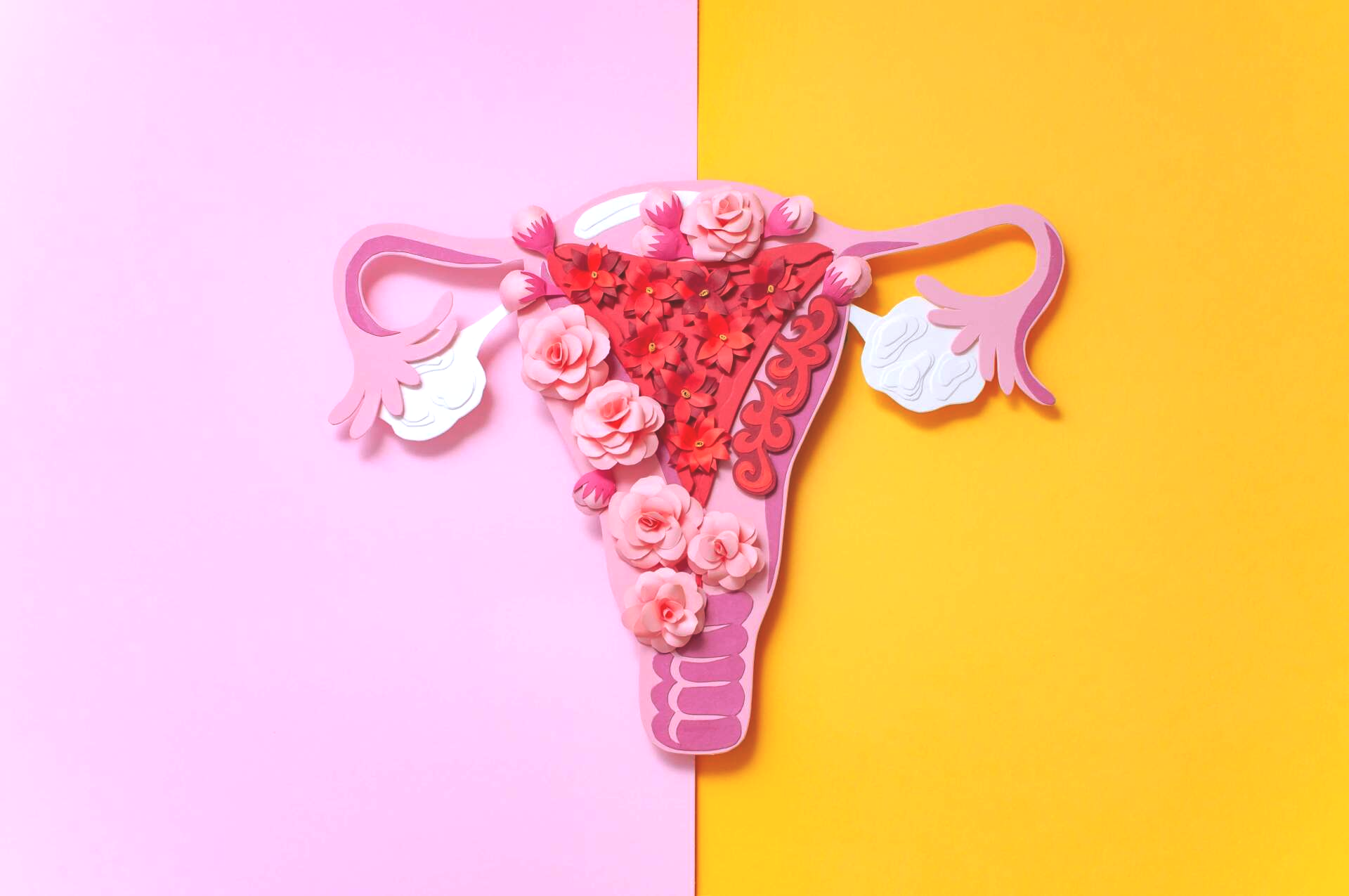 Endometriosis - Symptoms, Causes, Possible Treatments