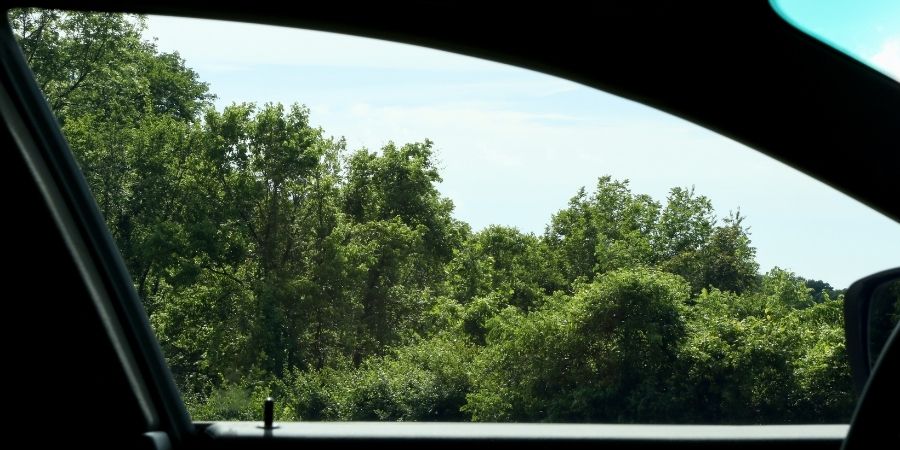 A FormulaOne tinted car window.