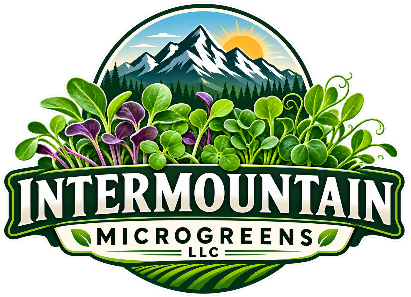 Microgreens in Whitefish, MT | Intermountain Microgreens LLC Microgreens in Whitefish, MT | Intermountain Microgreens LLC