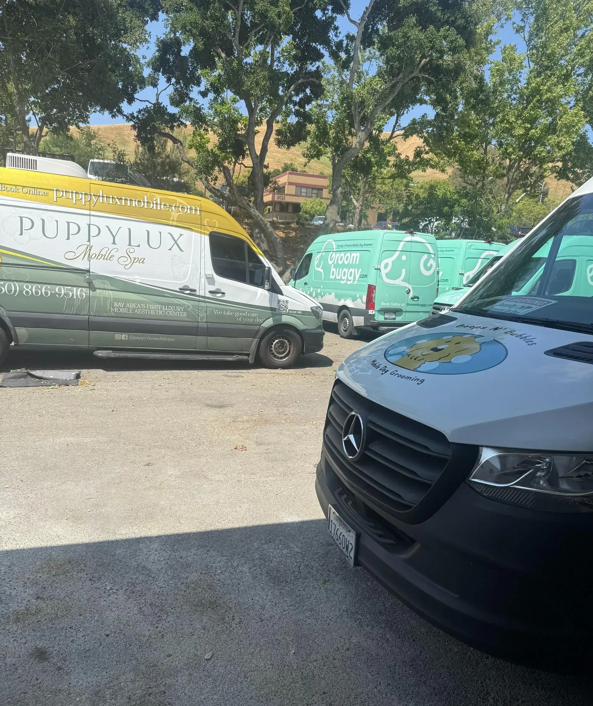 Parked vans in a sunny lot, including a white van with a green mural and a black van in the foreground.