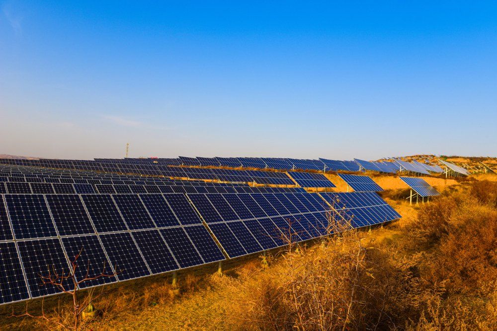 Solar Panels In Field — Mission Solar And Electrical In Mission Beach, QLD