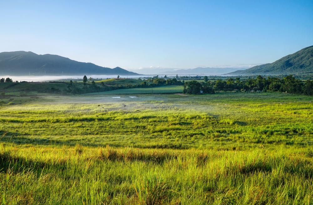 A Lush Green Field With Mountains In The Background — Mission Solar And Electrical In Tully, QLD