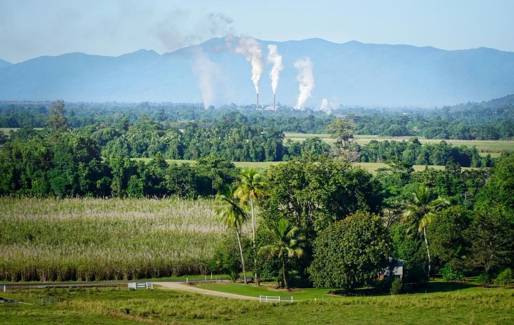 A View Of A Field With Trees And Mountains In The Background — Mission Solar And Electrical In Tully, QLD