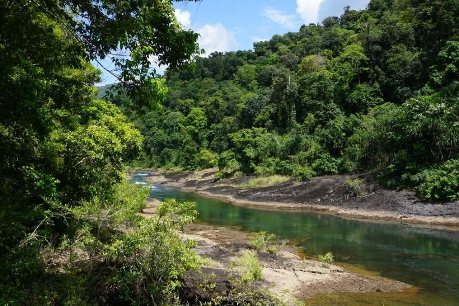 A River Surrounded By Trees On A Sunny Day — Mission Solar And Electrical In Tully, QLD