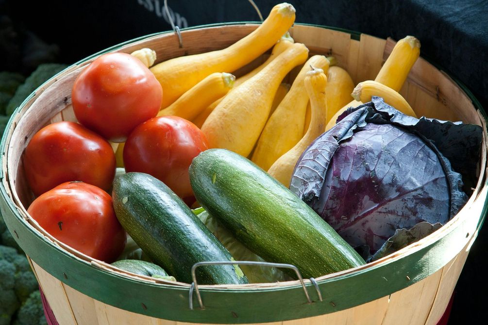 Cesto di prodotti freschi: pomodori, zucca gialla, zucchine e un cavolo viola.