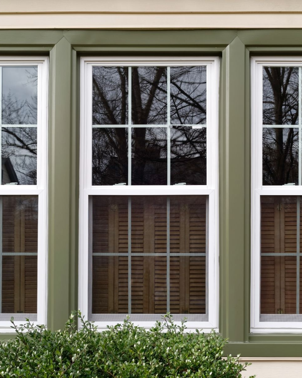 Three white-framed windows with green trim reflect trees and have brown wooden blinds visible at the bottom.