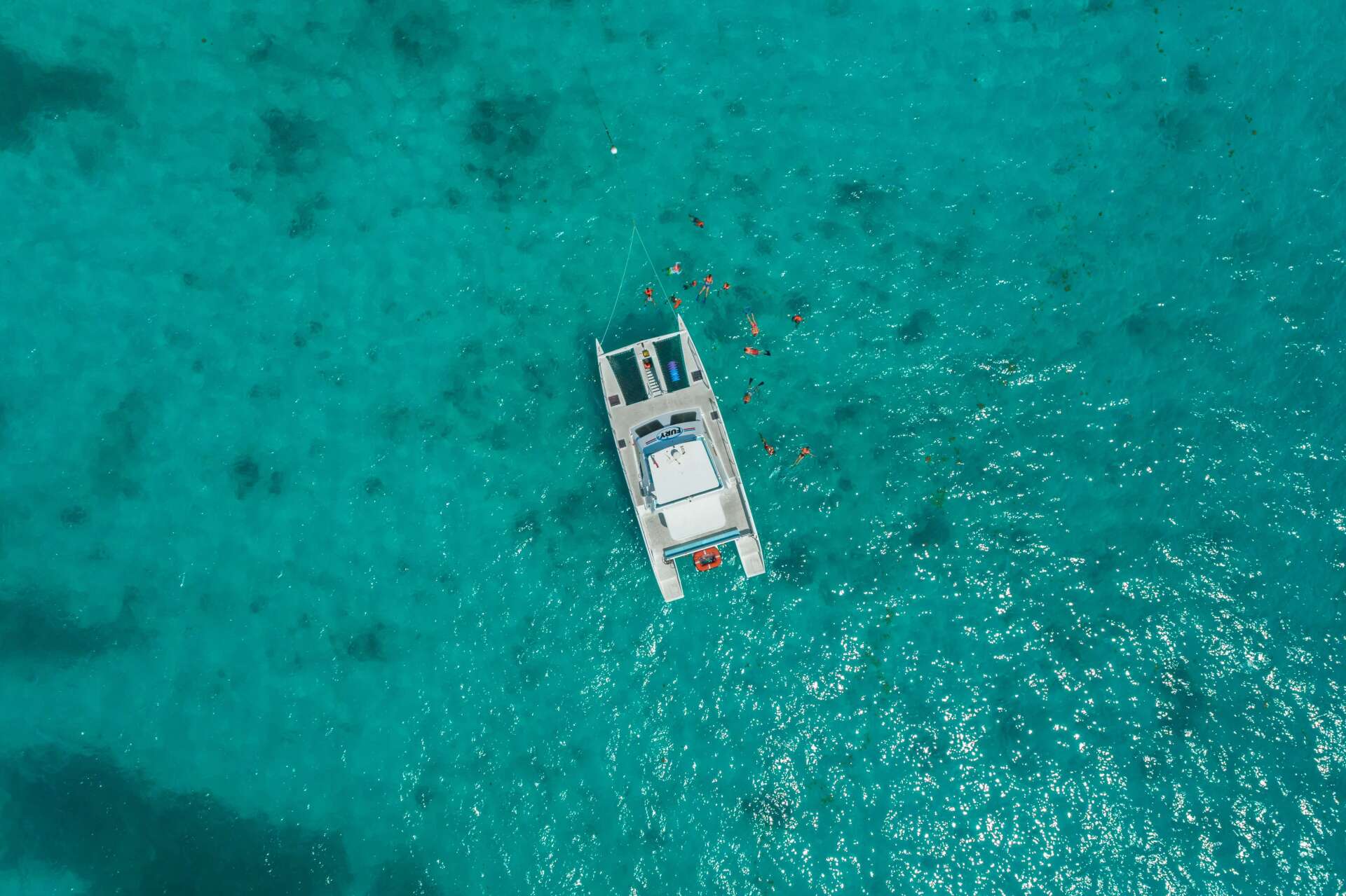 Double Dip Snorkel Adventure Key West Big Dave Tours