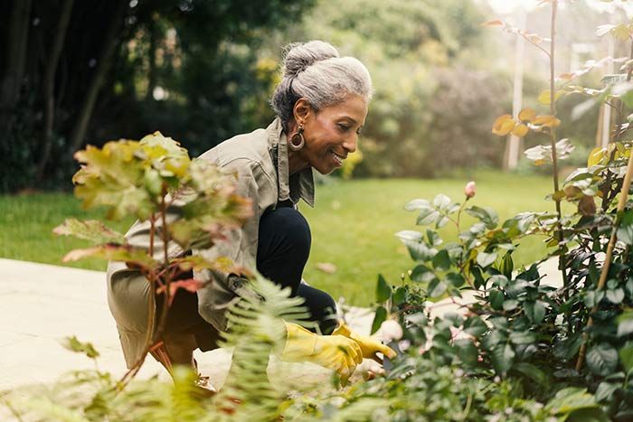 Person gardening among lush plants in a sunny garden