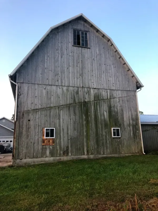 Weathered gray barn with moss-streaked wood siding on a grassy lot under a blue sky