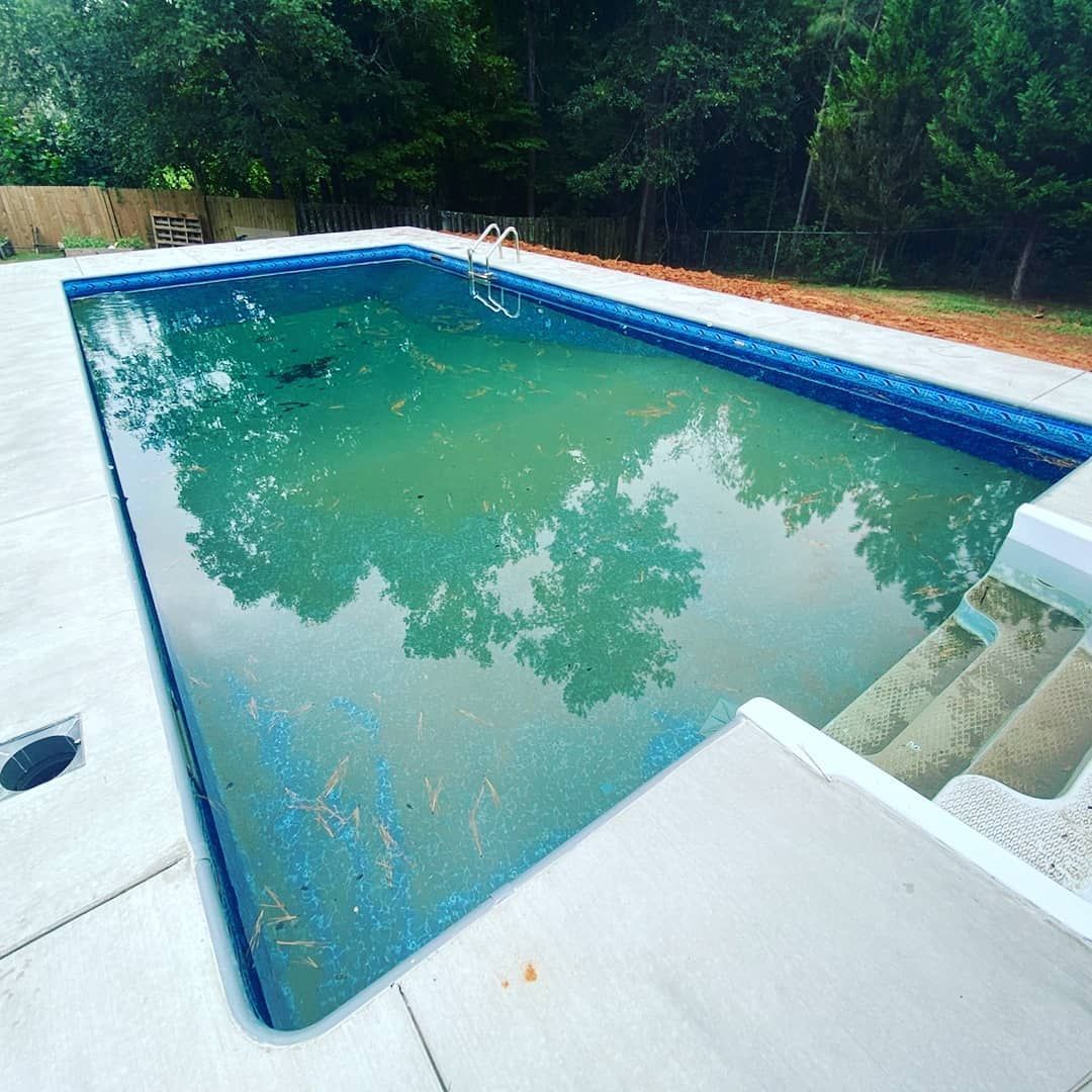 A rectangular swimming pool with murky green water. White concrete surrounds the pool. Trees are in the background.