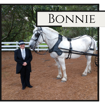 White horse named Bonnie standing beside a person in a suit at an outdoor showground.