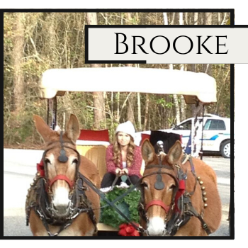 Two donkeys pulling a decorated cart with a child, labeled “Brooke,” in a wooded area