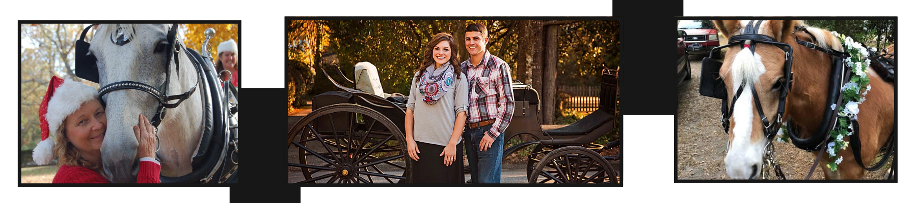 Three small photos of people posing with horses in a barn and outdoor setting
