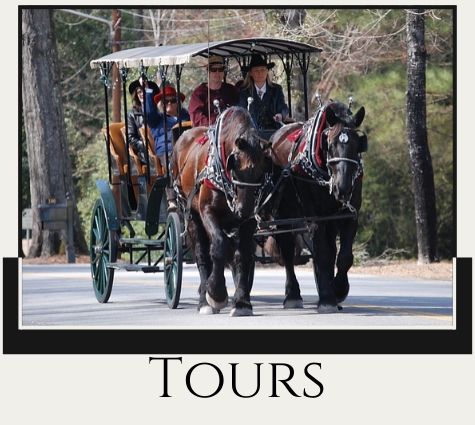 Horse-drawn carriage tour on a tree-lined road, with “Tours” text below.