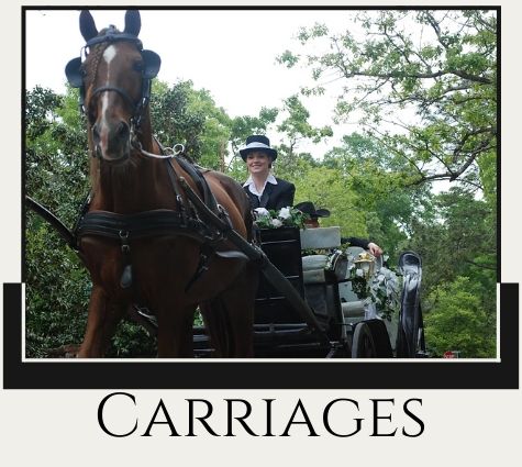 Horse-drawn carriage with driver on a tree-lined road, labeled “Carriages.”
