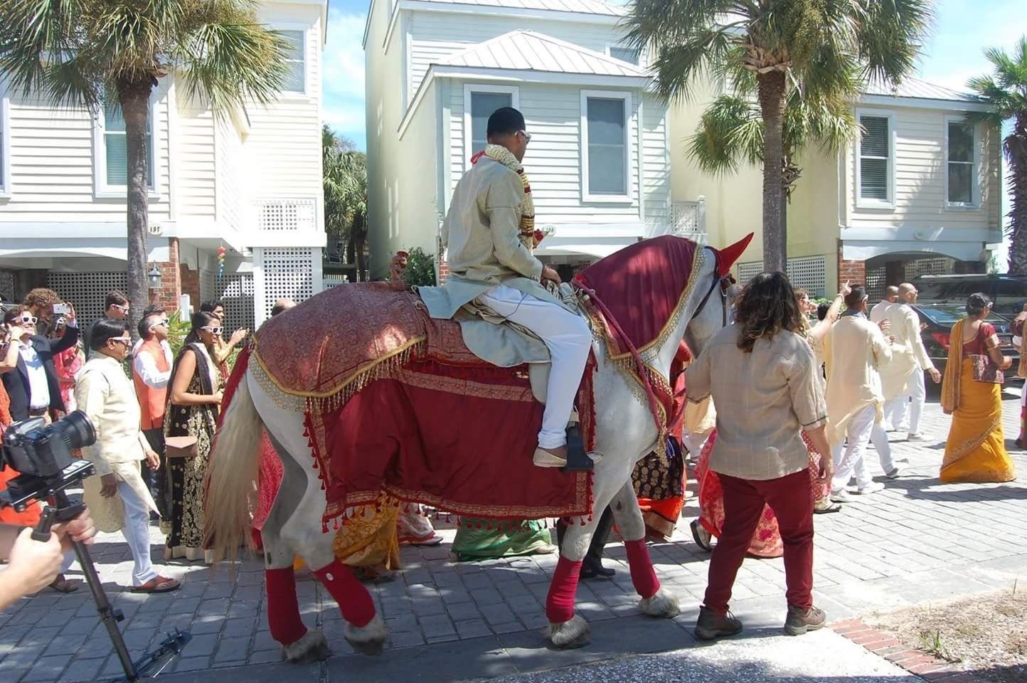 Person riding a decorated elephant in a street parade with spectators and colorful buildings nearby