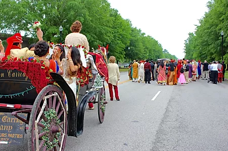Procession of decorated horse carts and people walking along a tree-lined road