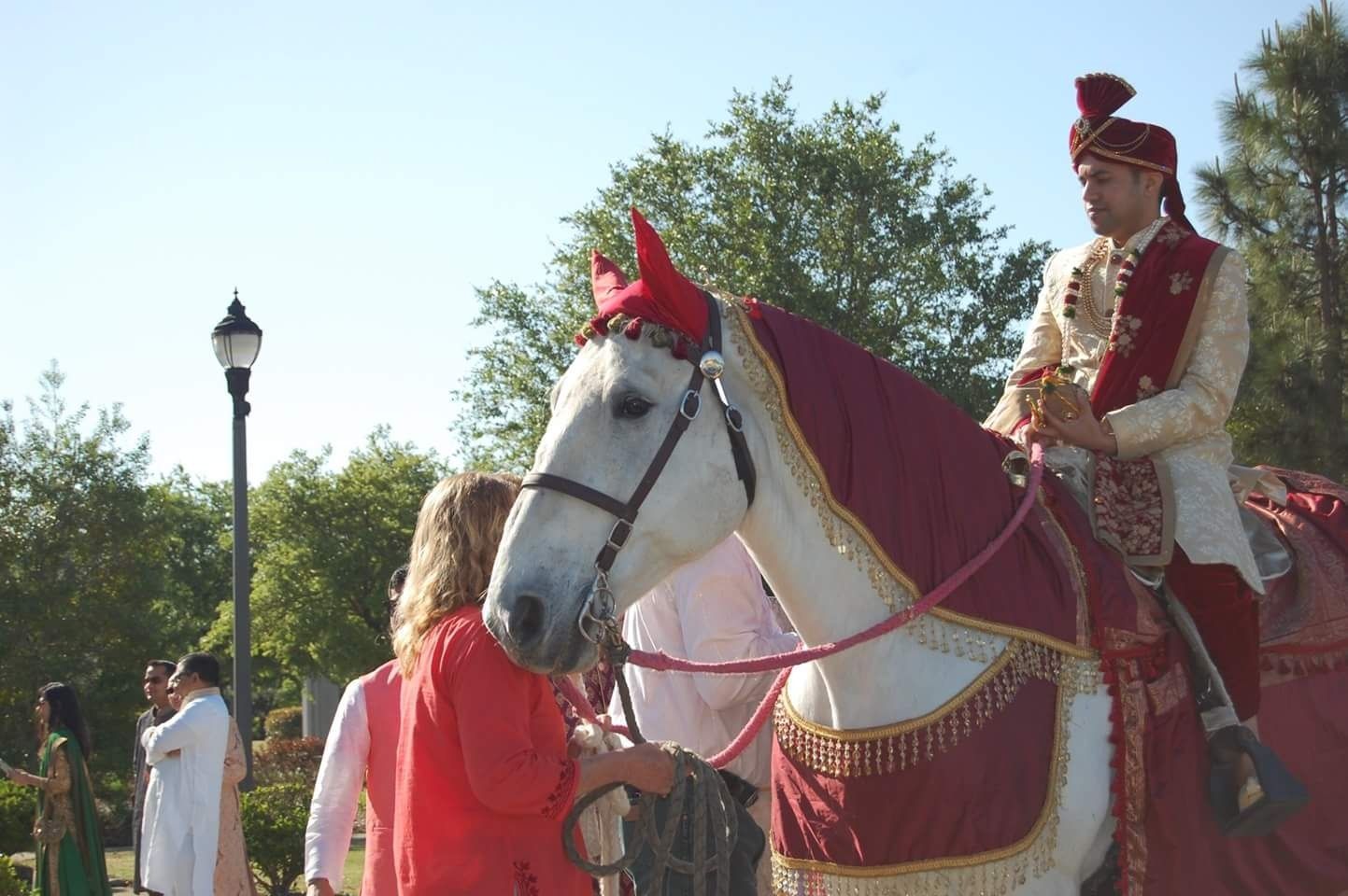 Bride and groom on a decorated white horse during an outdoor wedding procession