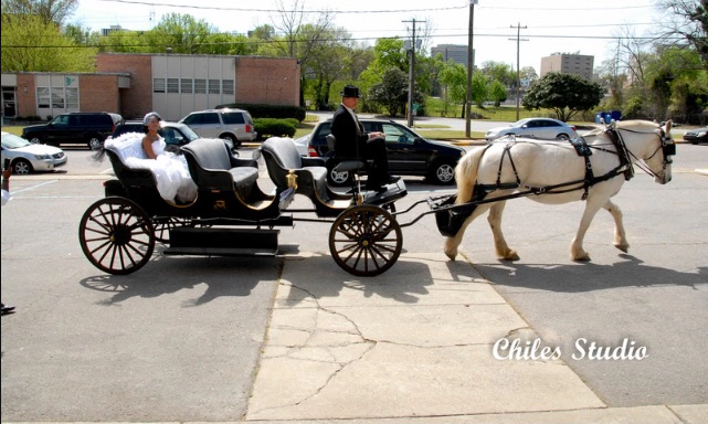 Horse-drawn carriage with two passengers on a sunny street, black carriage and white horse.