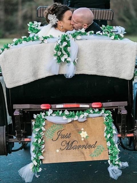 Newlyweds kissing in a decorated carriage with a “Just Married” sign