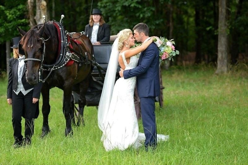 Bride and groom embracing in a grassy field beside a black horse-drawn carriage
