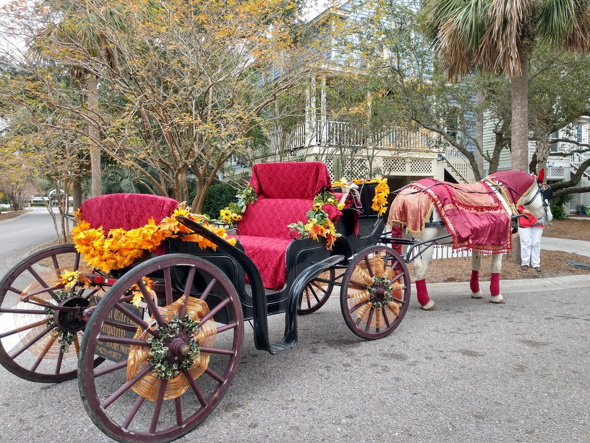 Flower-covered horse-drawn carriage with red seats and a matching horse on a tree-lined road
