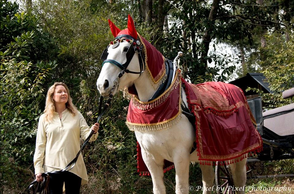 Woman leads a white horse in a red costume outdoors among trees.