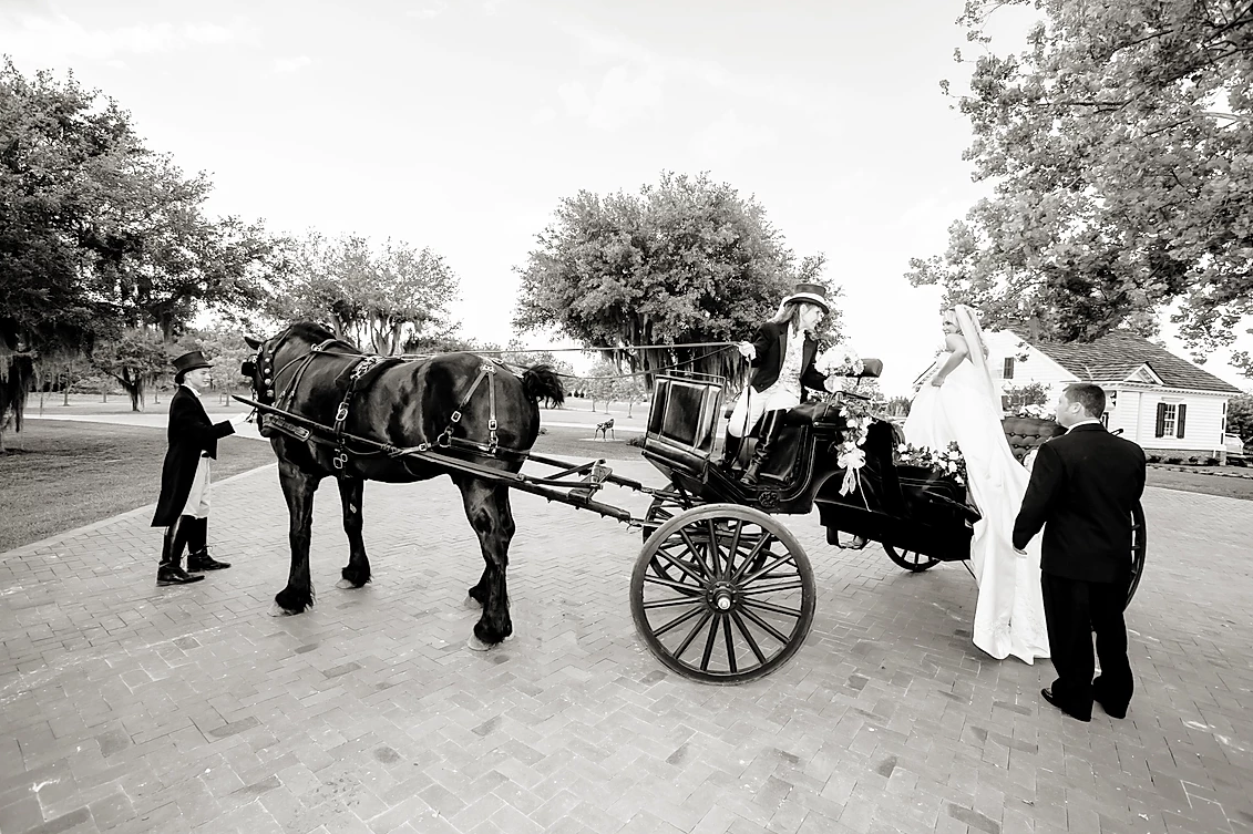 Horse-drawn carriage on a rural road with people standing nearby and trees in the background