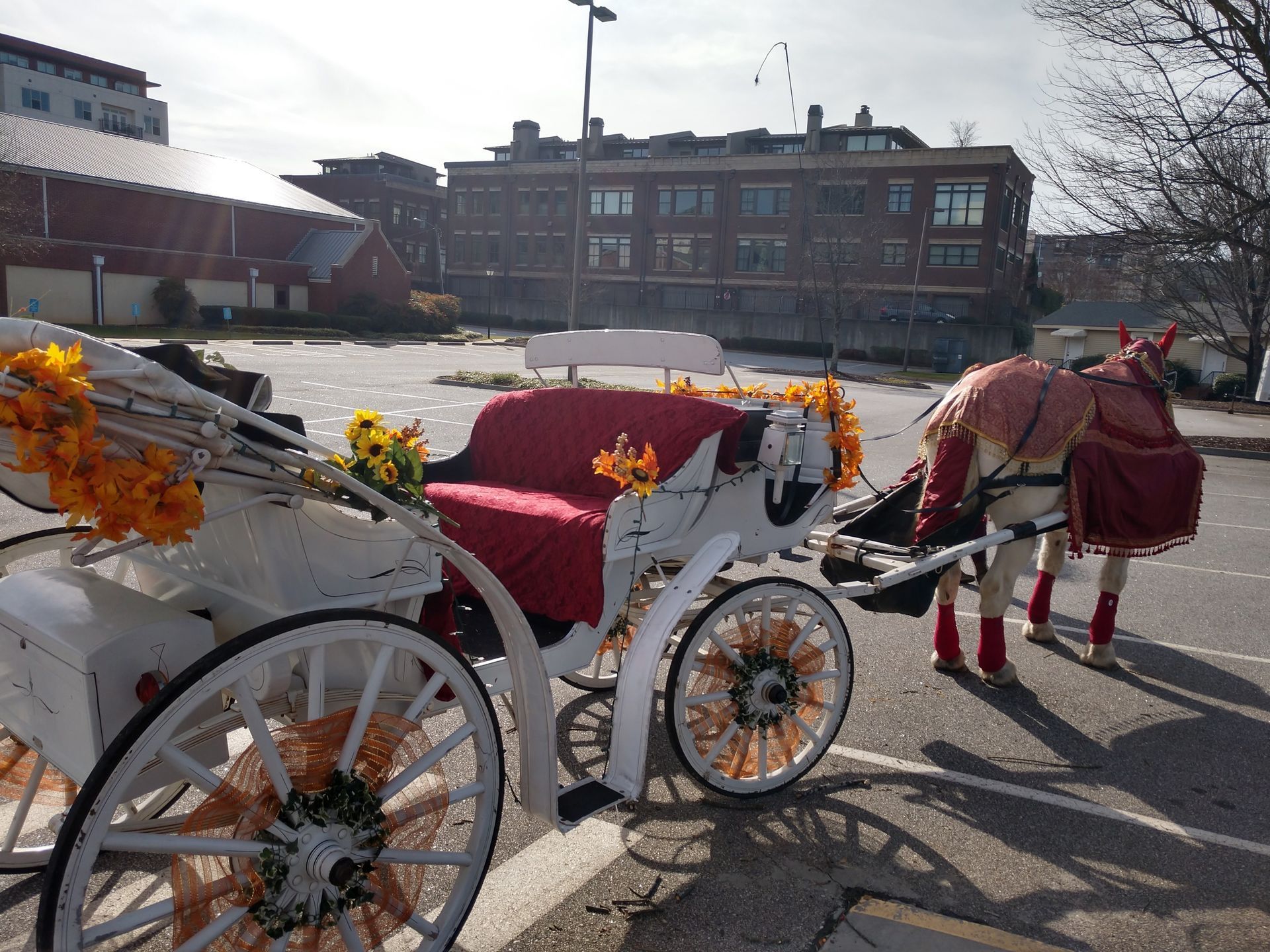 Two decorated white horses pulling a red-covered carriage on a sunny street.