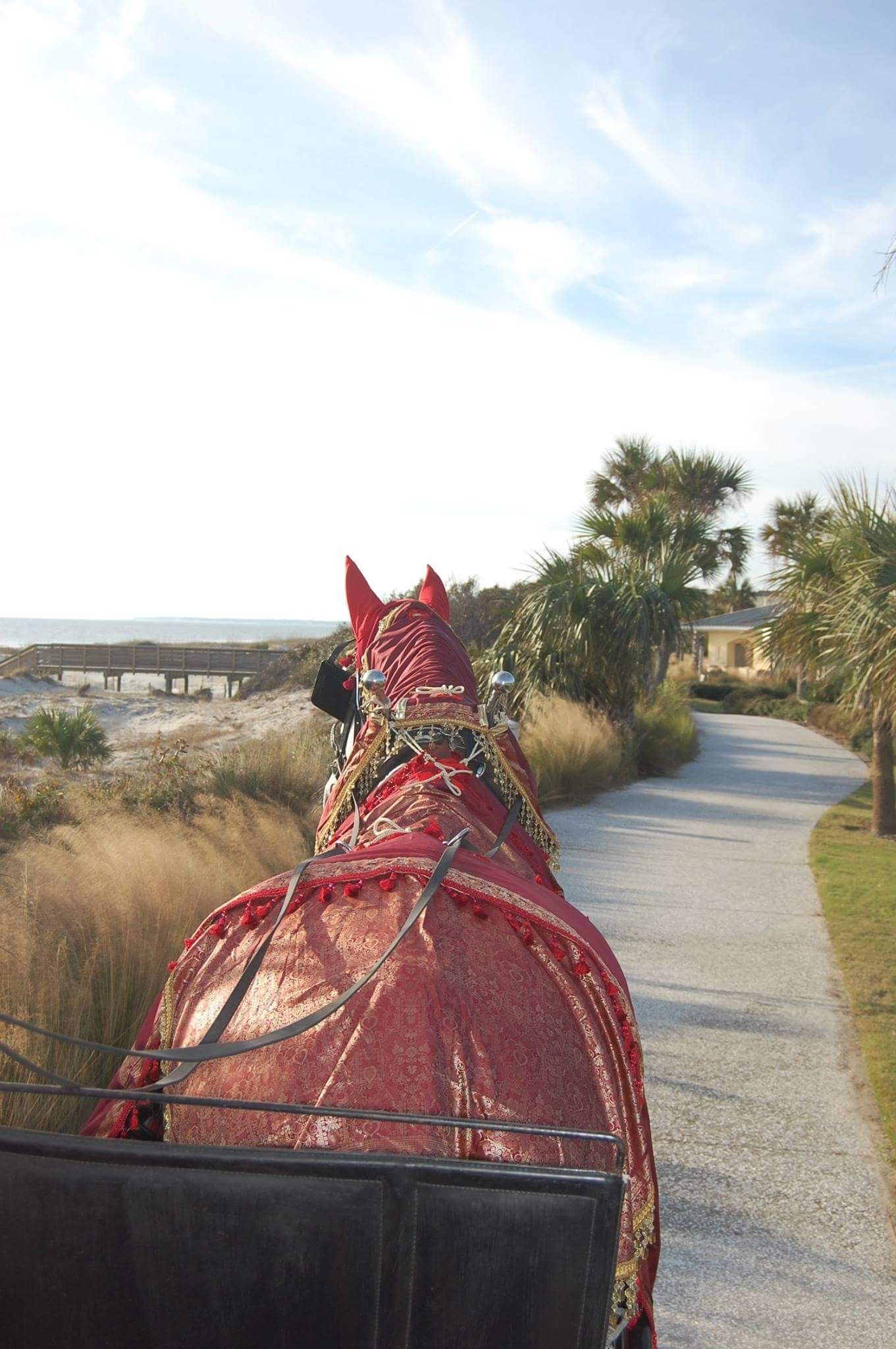 A red sculptural horse on a path beside tall grasses, with trees and open sky in the background