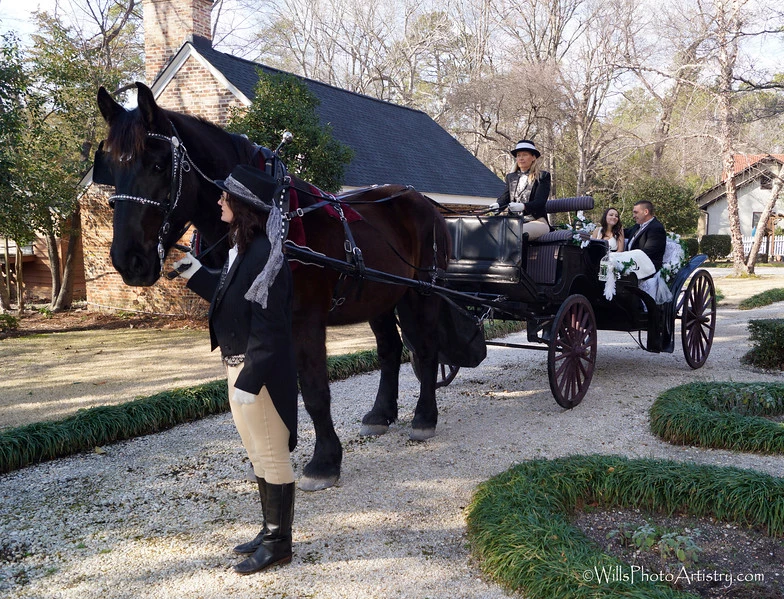 Black horse-drawn carriage on a driveway, with driver and passengers in formal attire outdoors.