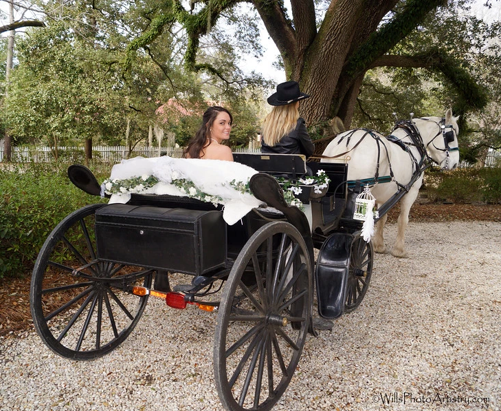 Horse-drawn carriage with two women seated on a gravel path under trees, one horse visible in front