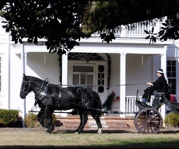 Horse-drawn carriage in front of a white house with a porch and steps