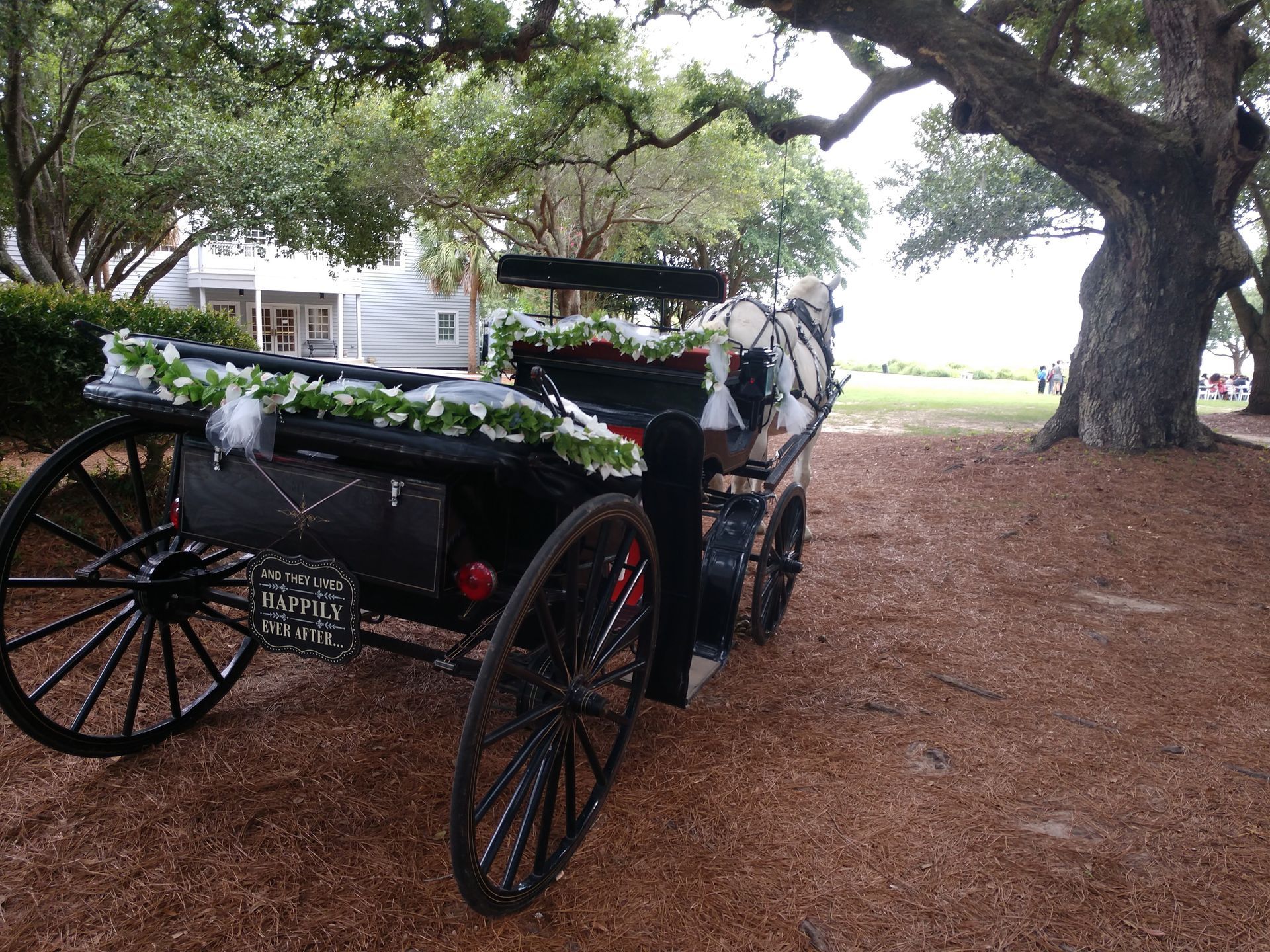 Horse-drawn carriage with black wheels under large trees on a dirt path near a white building
