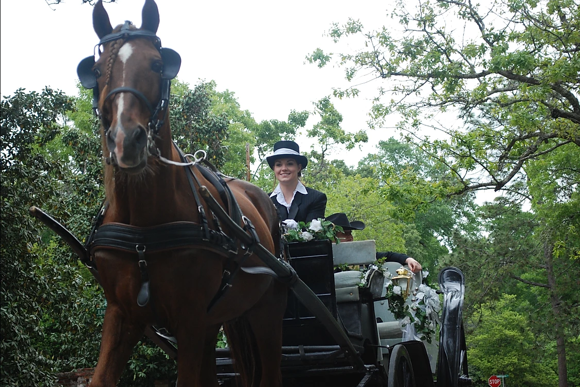 Horse-drawn carriage in a wooded park, with a driver seated on the wagon.