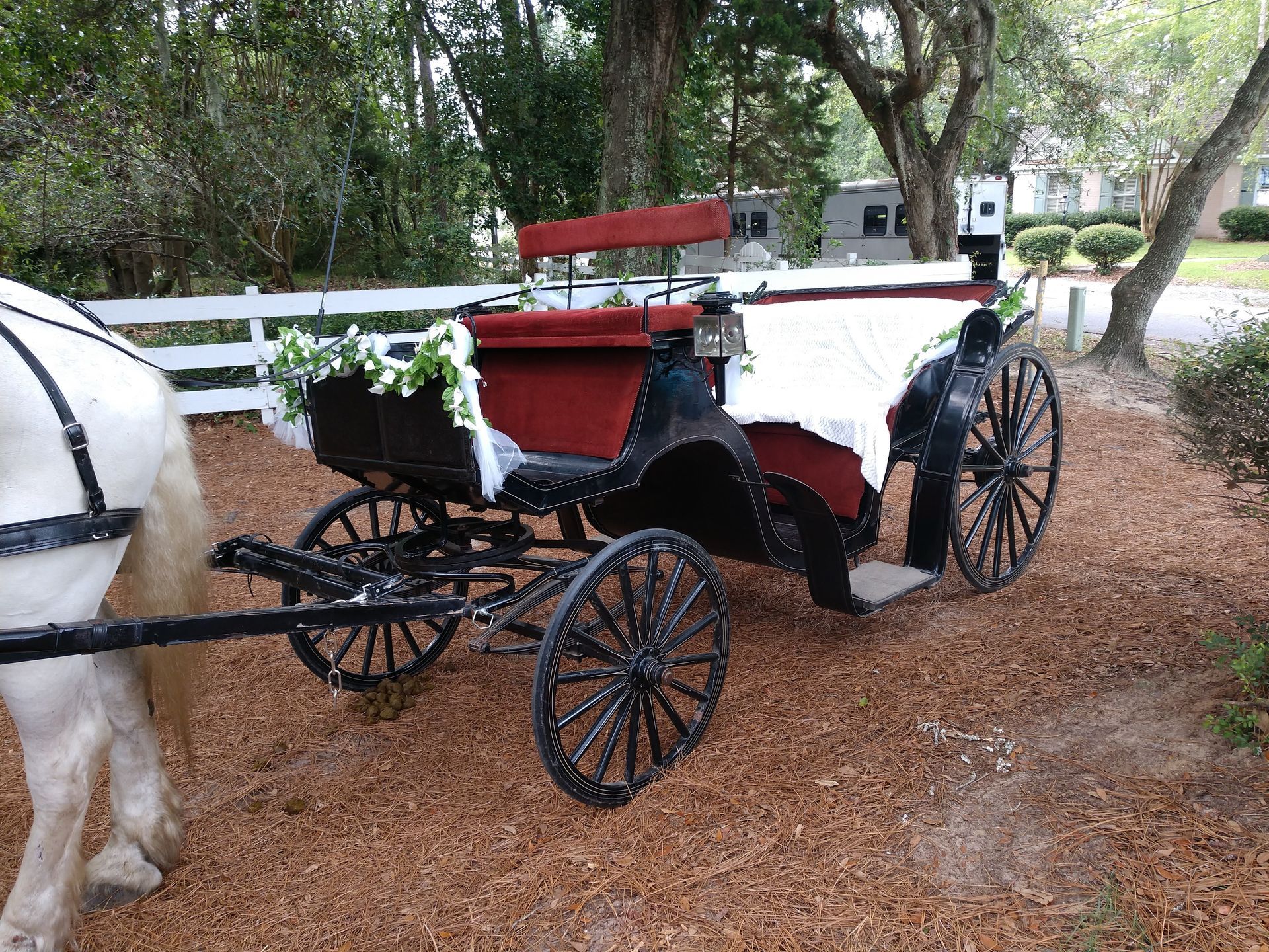 White and red horse-drawn carriage with black wheels parked on a wooded path