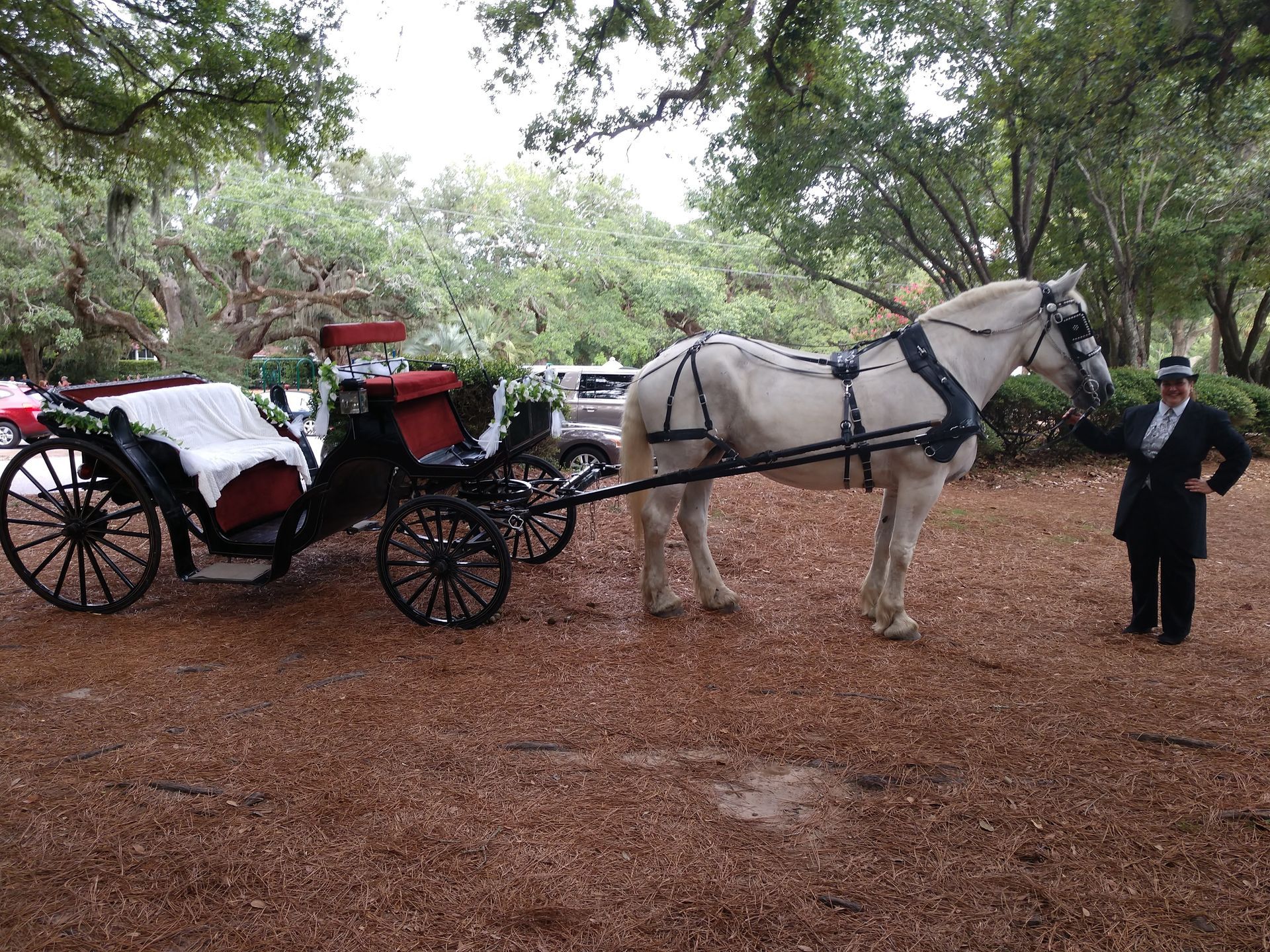Horse-drawn carriage with white horse and driver on a wooded path, red and black carriage behind.